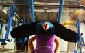 Τι κάνει η Νάντια Μπουλέ κρεμασμένη ανάποδα από το ταβάνι; - Φωτογραφία 3