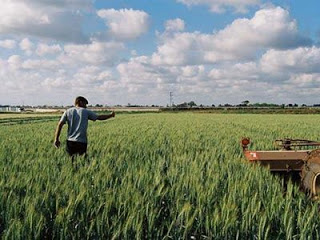 Αγρότης με 50.000 στρέμματα χωρίς τίτλους ιδιοκτησίας κόβει τιμολόγια €184.075.770 - Φωτογραφία 1