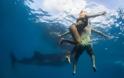 Τουρίστες κολυμπούν… με φαλαινοκαρχαρίες!