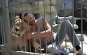 Ο άνδρας που θα μείνει 1 χρόνο στο κλουβί μαζί με λιοντάρια