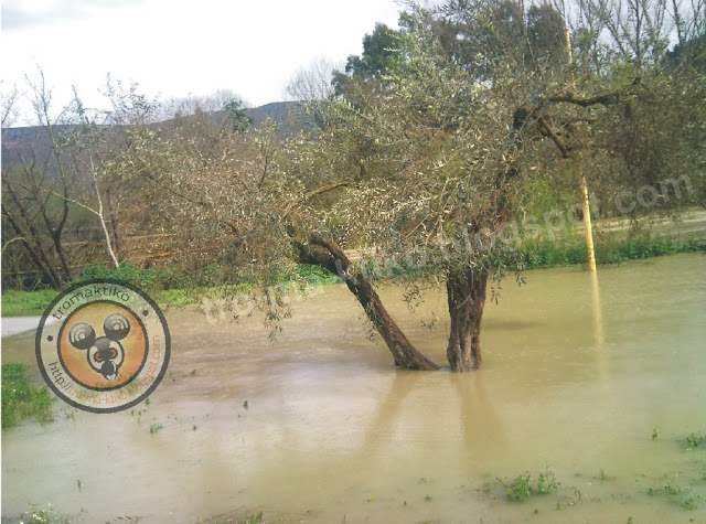 Φωτογραφίες αναγνώστη από την υπερχίελιση του ποταμού Καλαμά - Φωτογραφία 4