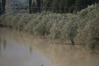 Πλημμύρισε, για 3η φορά μέσα σε 3 μήνες, ο κάμπος της Βρυσσέλας! - Φωτογραφία 2