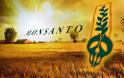 Η Ουγγαρία καταστρέφει όλα τα χωράφια καλαμποκιού της Monsanto