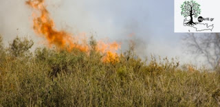 Αποκλειστικά πλάνα: Πυρκαγιά στους Αρμένους τέθηκε υπό έλεγχο - Φωτογραφία 1