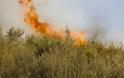 Αποκλειστικά πλάνα: Πυρκαγιά στους Αρμένους τέθηκε υπό έλεγχο - Φωτογραφία 1