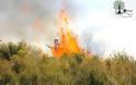 Αποκλειστικά πλάνα: Πυρκαγιά στους Αρμένους τέθηκε υπό έλεγχο - Φωτογραφία 2