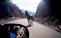 S.O.S. Άλογο κινείται ανεξέλεγκτο στο δρόμο στις Μαλάδες Ηρακλείου