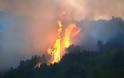 Μπαράζ πυρκαγιών σε όλη τη Κρήτη - Κάηκε μεγάλο κομμάτι του δυτικού νησιού