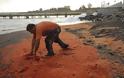 Άλλαξε χρώμα παραλία στην Χιλή από νεκρές γαρίδες και καβούρια - Βίντεο