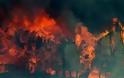 Έσβησαν μετά από τρεις μήνες οι πυρκαγιές στην Τασμανία