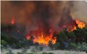 Ηλεία: Πυρκαγιά καίει πευκόδασος στη Βρίνα Ολυμπίας!