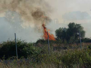Πρέβεζα - ΤΩΡΑ: Φωτιά σε εξέλιξη αυτή την ώρα στην Σμυρτούλα - Φωτογραφία 1