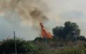 Πρέβεζα - ΤΩΡΑ: Φωτιά σε εξέλιξη αυτή την ώρα στην Σμυρτούλα