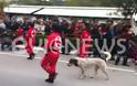 Χαλκίδα: Έκανε παρέλαση και ο σκύλος! - Φωτογραφία 1