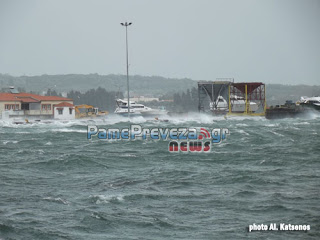 Πρέβεζα: Ισχυροί άνεμοι έπληξαν την πόλη - Δέντρο έπεσε πάνω σε αυτοκίνητα πριν την παρέλαση - Έσωσαν την τελευταία στιγμή σκάφος στο λιμάνι - Φωτογραφία 1