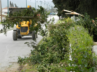 Λευκάδα: Έπεσε δέντρο μέσα στο δρόμο - Φωτογραφία 1