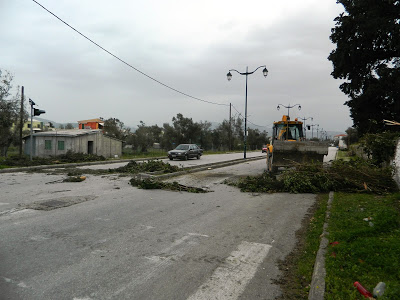 Λευκάδα: Έπεσε δέντρο μέσα στο δρόμο - Φωτογραφία 2