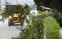 Λευκάδα: Έπεσε δέντρο μέσα στο δρόμο