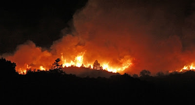 Κάλμαρε η φωτιά στην Ταυγέτη! - Φωτογραφία 5