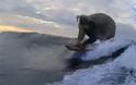 Ο ελέφαντας που κάνει σέρφινγκ και σαρώνει στα social media [Video]
