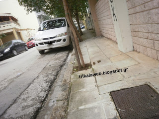 Πρόβλημα στα Τρίκαλα με τα κόπρανα σκύλων πάνω στα πεζοδρόμια - Φωτογραφία 1