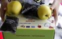 Να ενταθούν οι έλεγχοι για την ποιότητα των φρούτων που διανέμονται στα σχολεία, ζητά ο Σύνδεσμος Εμπόρων Κεντρικής Λαχαναγοράς Αθηνών