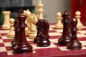 Ένωση σκακιστικών σωματείων κεντρικής Ελλάδας - Ατομικό-ομαδικό σχολικό πρωτάθλημα 2013 - Φωτογραφία 1