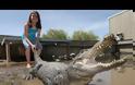 VIDEO: 9χρονη ενάντια σε ζωντανούς αλιγάτορες