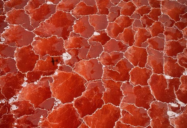 Η ασυνήθιστη ραγισμένη κόκκινη λίμνη! - Φωτογραφία 4