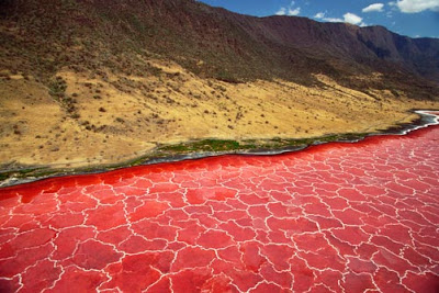 Η ασυνήθιστη «ραγισμένη» κόκκινη λίμνη! - Φωτογραφία 3