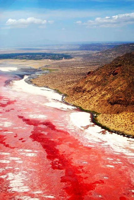 Η ασυνήθιστη «ραγισμένη» κόκκινη λίμνη! - Φωτογραφία 4