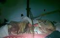 Ηλεία: Σύγχρονοι σκλάβοι – Aστυνομικοί έσωσαν Μπακγλαντέζο όμηρο – Τον είχαν δέσει με αλυσίδα σε τολ θεμοκηπίου – Ζητούσαν λύτρα - Φωτογραφία 2