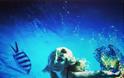 Η εντυπωσιακή υποβρύχια φωτογράφιση της Ζέτας Μακρυπούλια! - Φωτογραφία 3