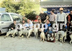 Διαγωνισμός καλύτερου κυνηγετικού σκύλου στα Καλάβρυτα - Φωτογραφία 1