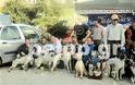 Διαγωνισμός καλύτερου κυνηγετικού σκύλου στα Καλάβρυτα