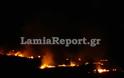 Λαμία: 30 στρέμματα έκαψε χθες βράδυ η φωτιά στο Φραντζόμυλο