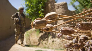 Αφγανιστάν: 40 φορές περισσότερη παραγωγή ηρωίνης από το 2001 - Φωτογραφία 1