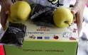 Σάπια φρούτα και σε σχολεία της Μυτιλήνης - Φωτογραφία 1