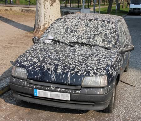 Άτυχες στιγμές! - Φωτογραφία 6