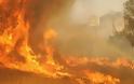 Συναγερμός για μεγάλη φωτιά κοντά σε κατοικίες στα Χανιά