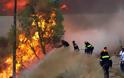Υπό μερικό έλεγχο η φωτιά σε Δράκεια - Χάνια, σε εξέλιξη στο Καστρί Πηλίου