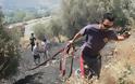 Πύρινα μέτωπα σε όλη την Κρήτη - Ολονύκτια μάχη με τις φλόγες