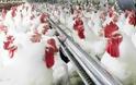 Κίνα: Αυστηρότερα μέτρα κατά της γρίπης των πτηνών