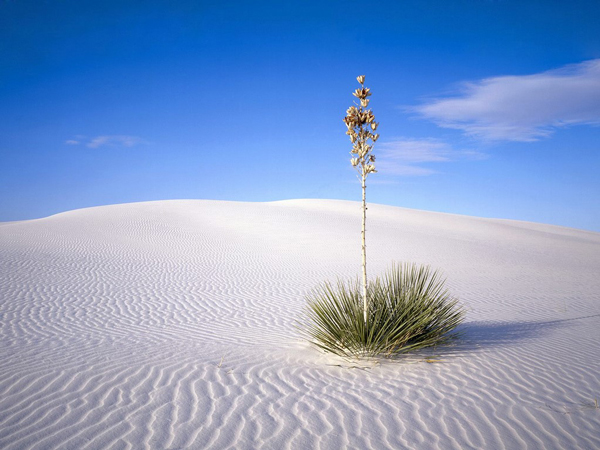 Κάτασπρη έρημος στον… πλανήτη Γη! - Φωτογραφία 2