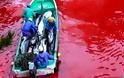 Σφαγή των δελφινιών στην Ιαπωνία που θέτει ολυμπιακή υποψηφιότητα