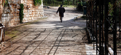 Άφησαν τον Eθνικό Κήπο να μαραζώσει - Φωτογραφία 3