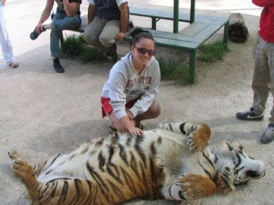 Ένας ζωολογικός κήπος μόνο για τους τολμηρούς... - Φωτογραφία 6