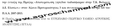 Αγροτική ανάπτυξη σημαίνει... φτιάχνω γήπεδο! - Φωτογραφία 2