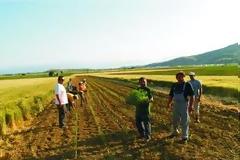 Αγροτική ανάπτυξη σημαίνει... φτιάχνω γήπεδο!