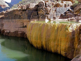 Pumpkin Spring: Μια θανατηφόρα πισίνα με αρσενικό στο Grand Canyon - Φωτογραφία 1
